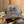 SHCC Trucker Patch Hat