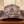 SHCC Trucker Patch Hat