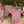 Youth Tee Shirt