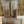 Whitetail Deer Call