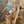 Whitetail Deer Call