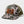 SHCC Trucker Patch Hat