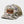 SHCC Trucker Patch Hat